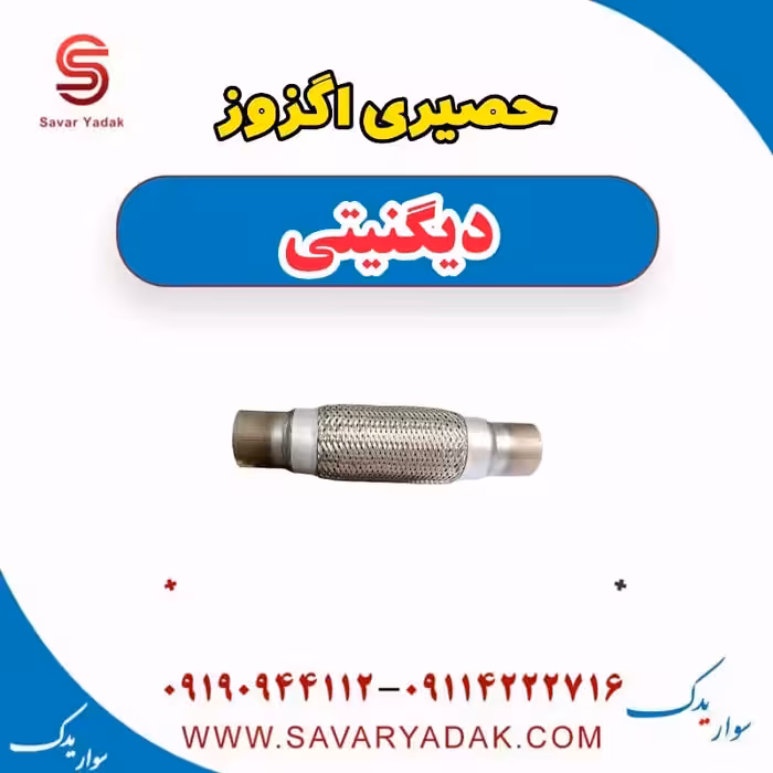 حصیری اگزوز دیگنیتی