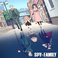 انیمه سریال Spy x Family فرمت دی وی دی خانگی رایتی