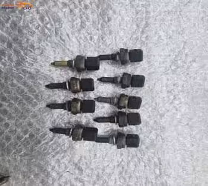 فشنگی آب دو فیش مناسب برای اطاقهای 1990 تا 2005