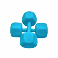 دمبل رادیس فیت مدل RFP-6 Power وزن 6 کیلوگرم بسته بندی دو عددی | کالا مکس