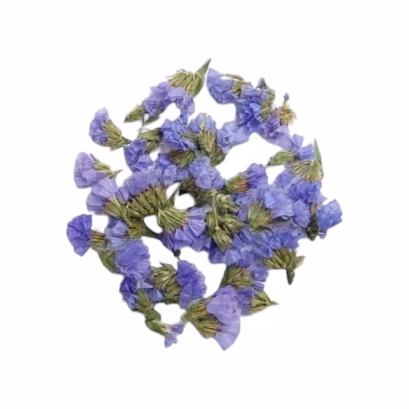 گل خشک شیپوری یاسی G12