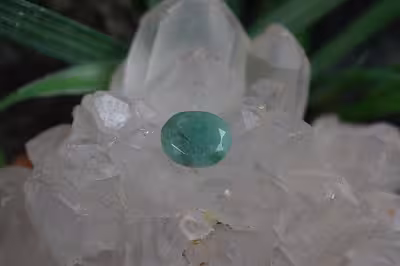 زمرد زامبیا