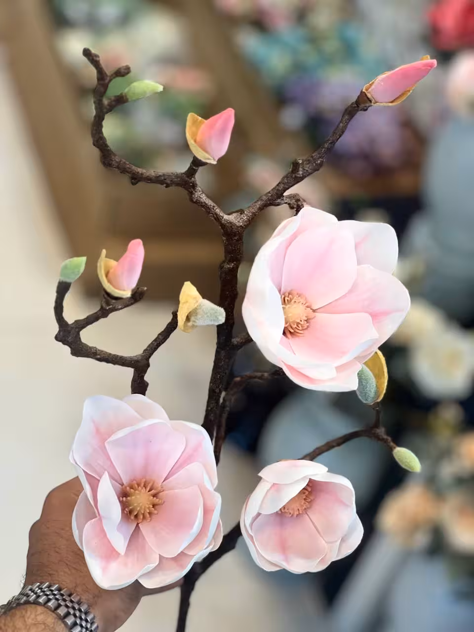 گل مگنولیا سه گل صورتی کمرنگ