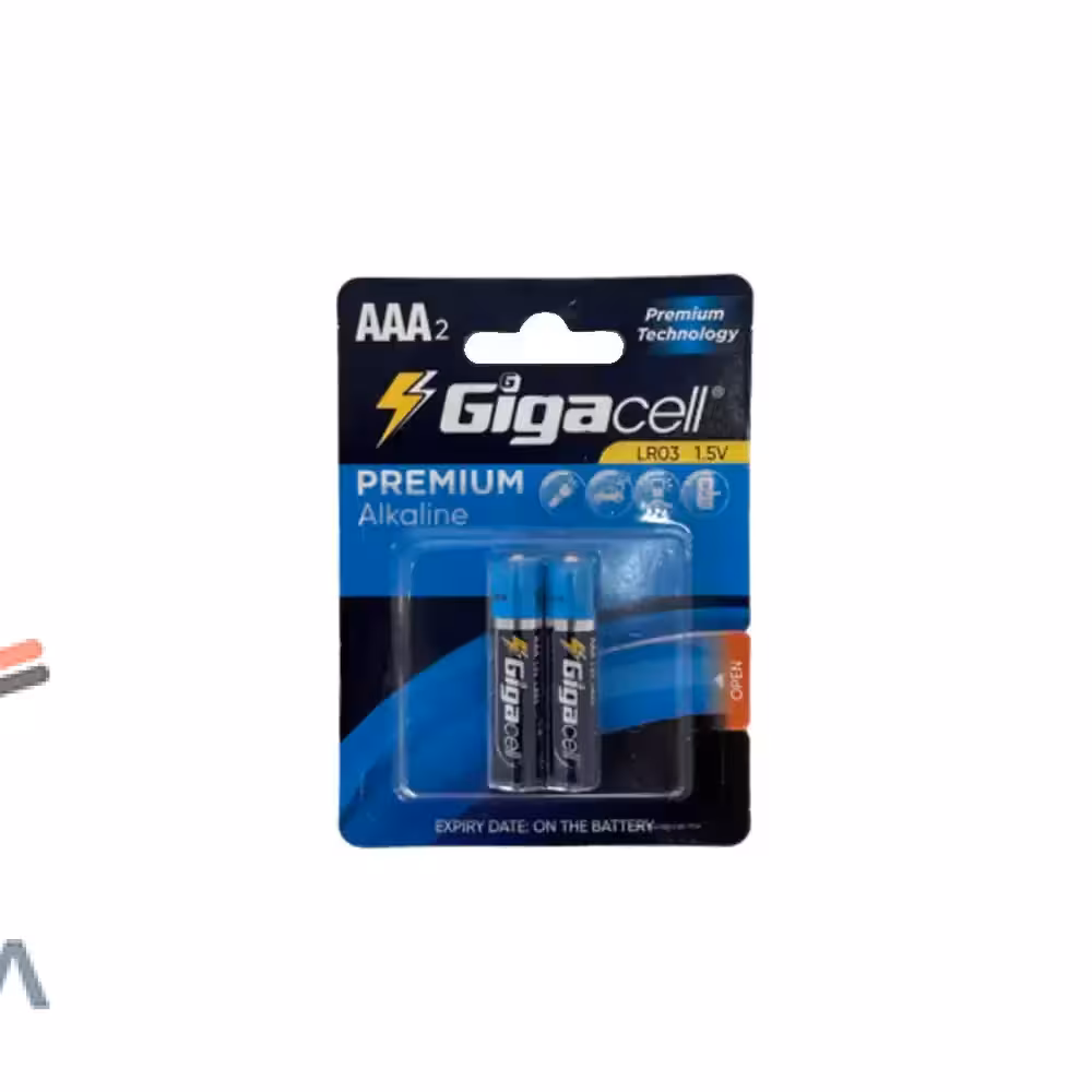 باتری نیم قلمی گیگاسل دوعددی