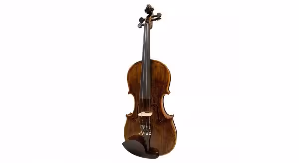 ویولن رناتو 620RENATO 620 4/4 Violin