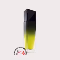 عطر ادکلن جیوانچی وری ایرسیستیبل مردانه | givenchy very irresistible for men