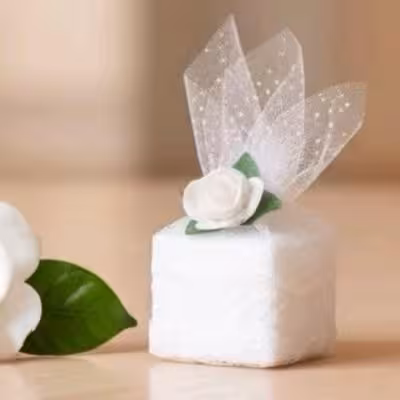 گیفت عروسی مدل حبه قند بزرگ