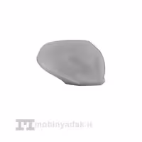 قاب آینه بغل راست هاوال M4