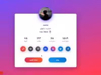 قالب تک صفحه ای رزومه