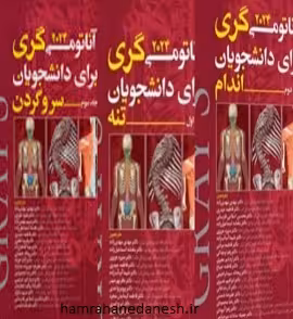 ترجمه کامل گری 2024 سه جلدی | مهدیزاده