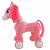 ربات کنترلی مدل اسب پونی