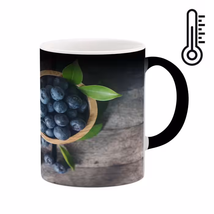 ماگ حرارتی کاکتی طرح میوه مدل mgh17139