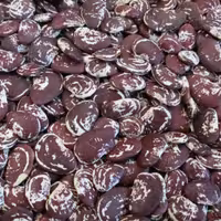 لوبیا عروس لیما 10 کیلویی حبوبات گیاهینو ارسال رایگان اصفهان