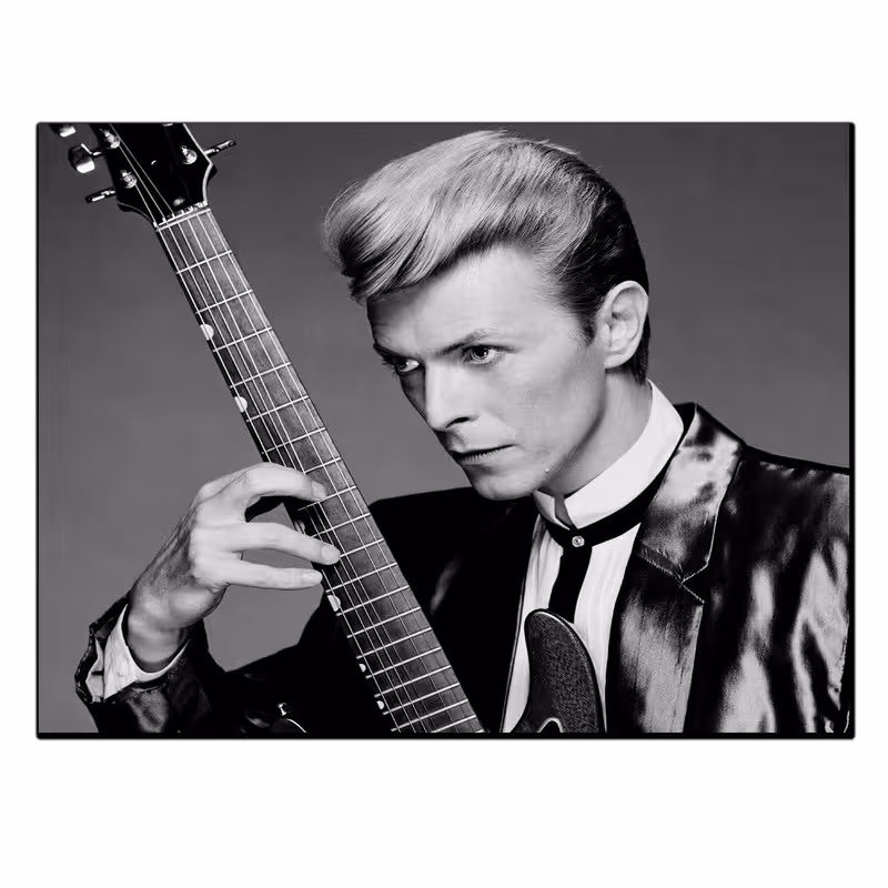 تابلو شاسی بکلیت طرح خواننده و گیتاریست مدل SH-S6186 | دنیای قاب