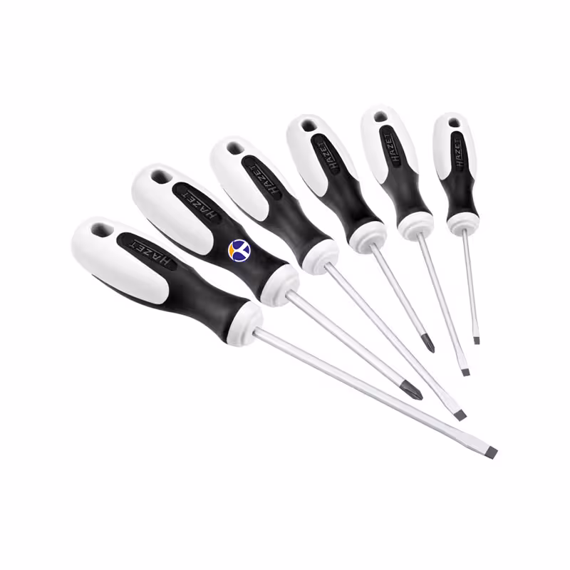 مجموعه 6 عددی پیچ گوشتی مدل 810/6-PD هازت