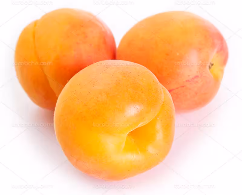 عکس زرد آلو باکیفیت | گرافیک با طعم تربچه