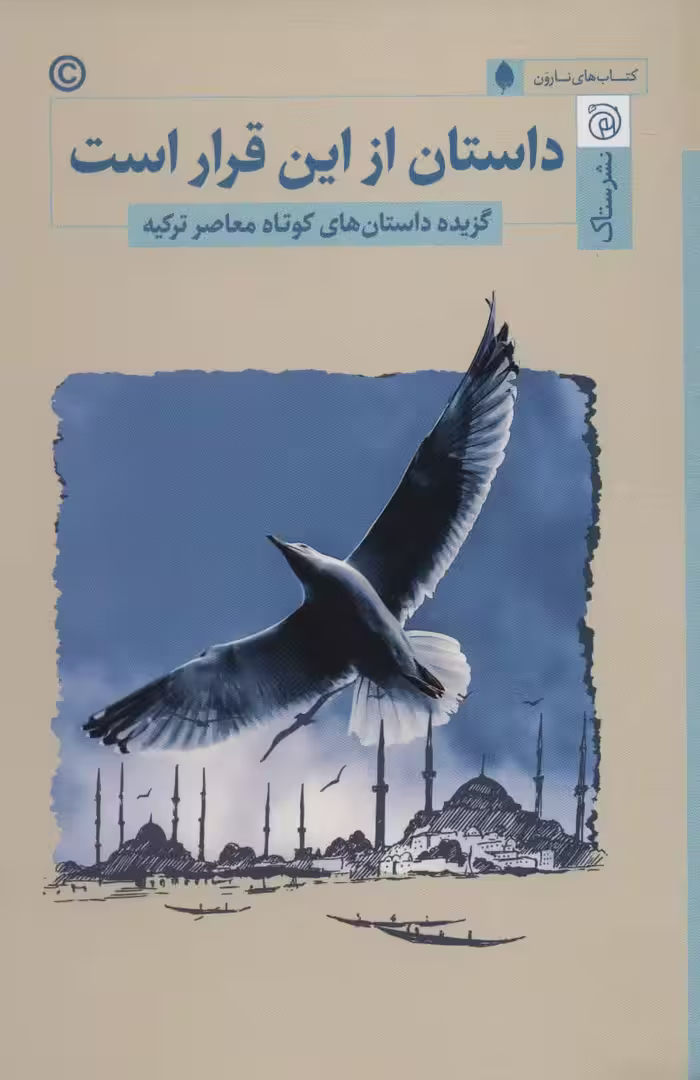 داستان از این قرار است:گزیده داستان های کوتاه معاصر ترکیه (کتاب های نارون) - ناشربوک | خرید آنلاین کتاب