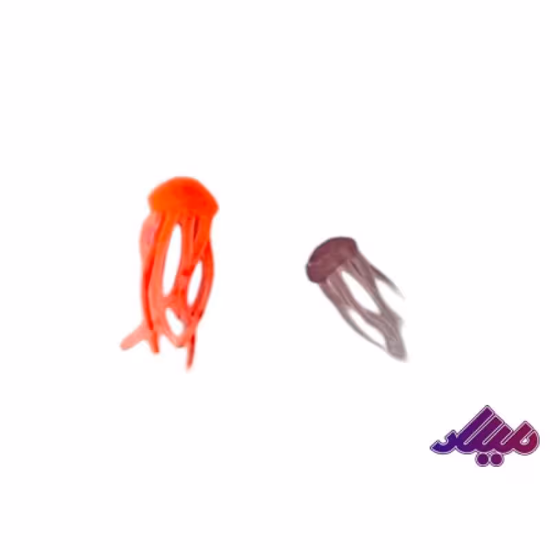 تزئینات عروس دریایی رنگی 2تایی سایز1تا1.5 سانت رنگ رندم