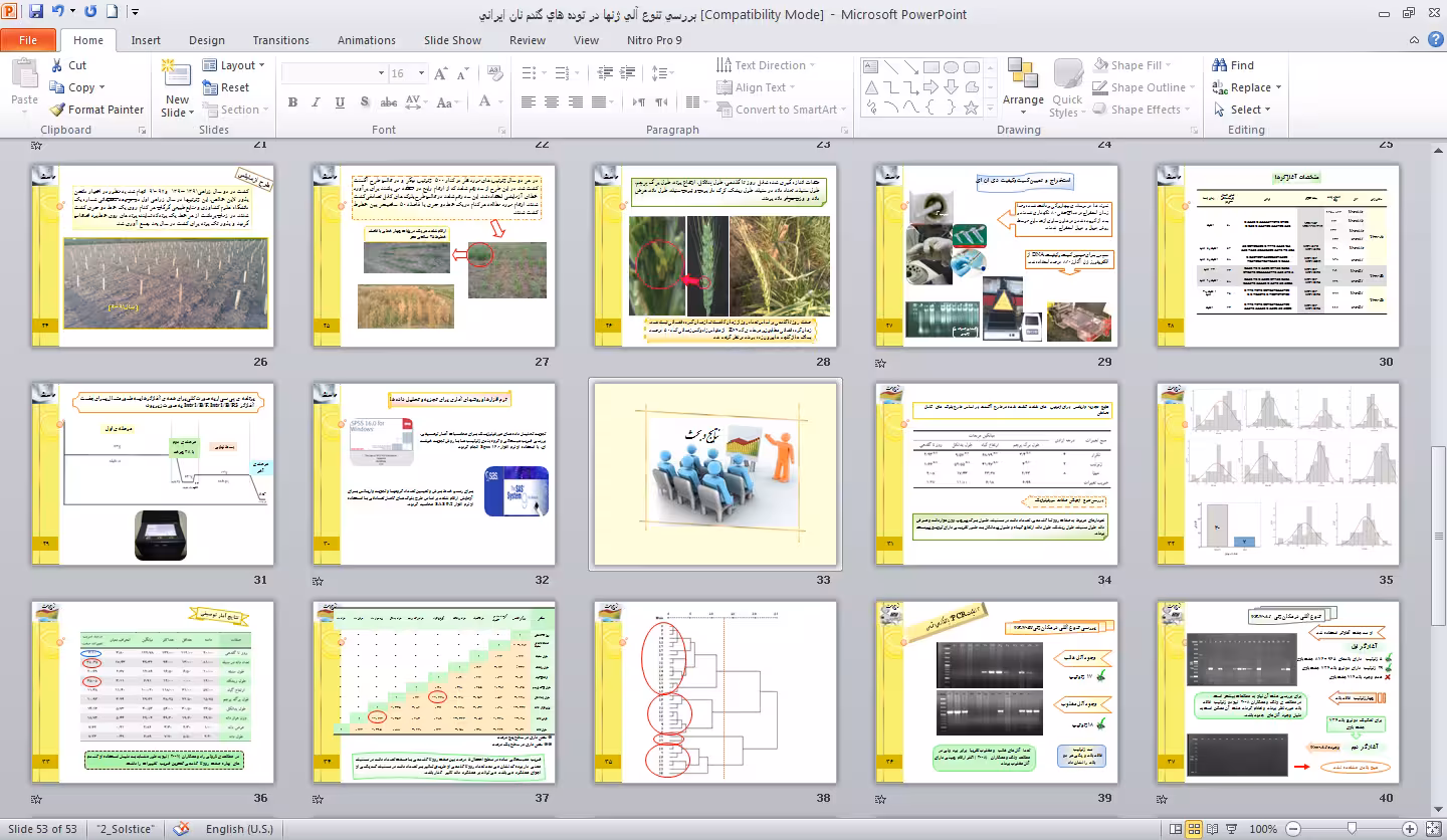 پاورپوينت بررسی تنوع آللی ژنهای Vrn-1در توده های گندم نان ایرانی