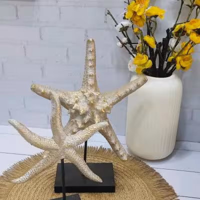 ستاره دریایی رزین بزرگ پایه دار