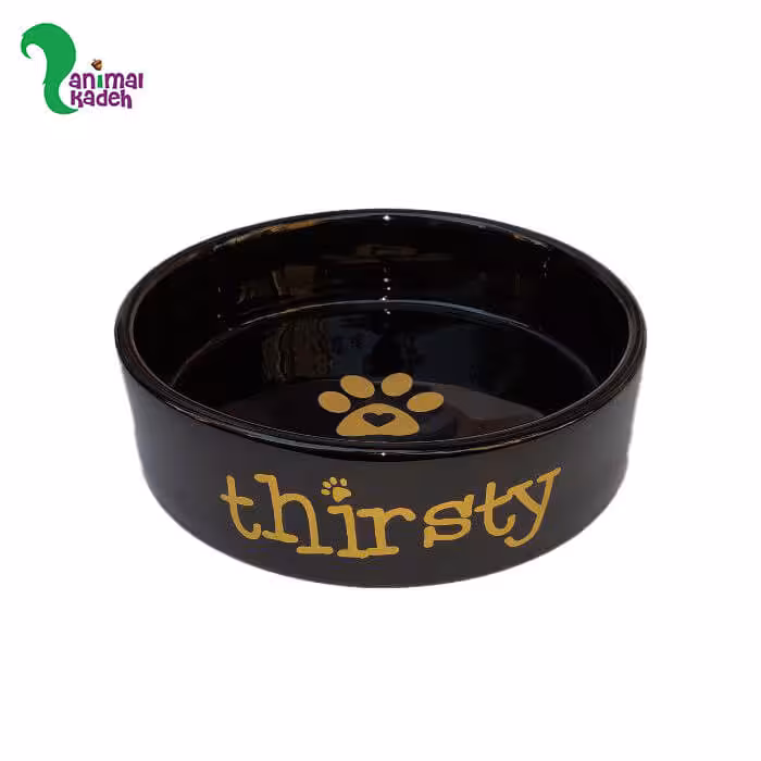 ظرف سرامیکی سگ و گربه thirsty مشکی (لارج)