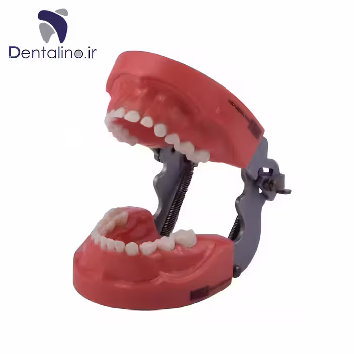 مدل تمرینی اطفال با لثه سخت