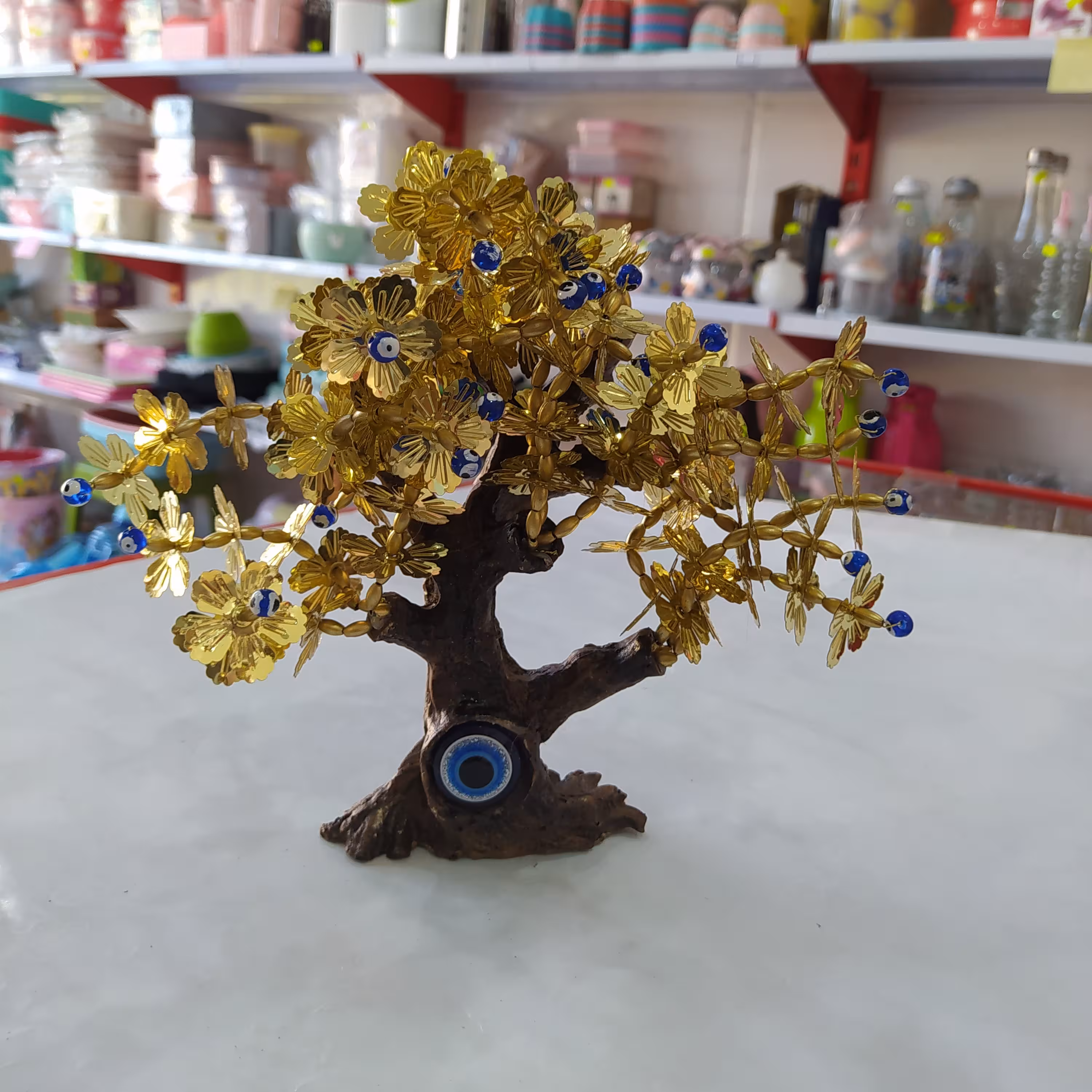 درختچه تزیینی چشم نظر 