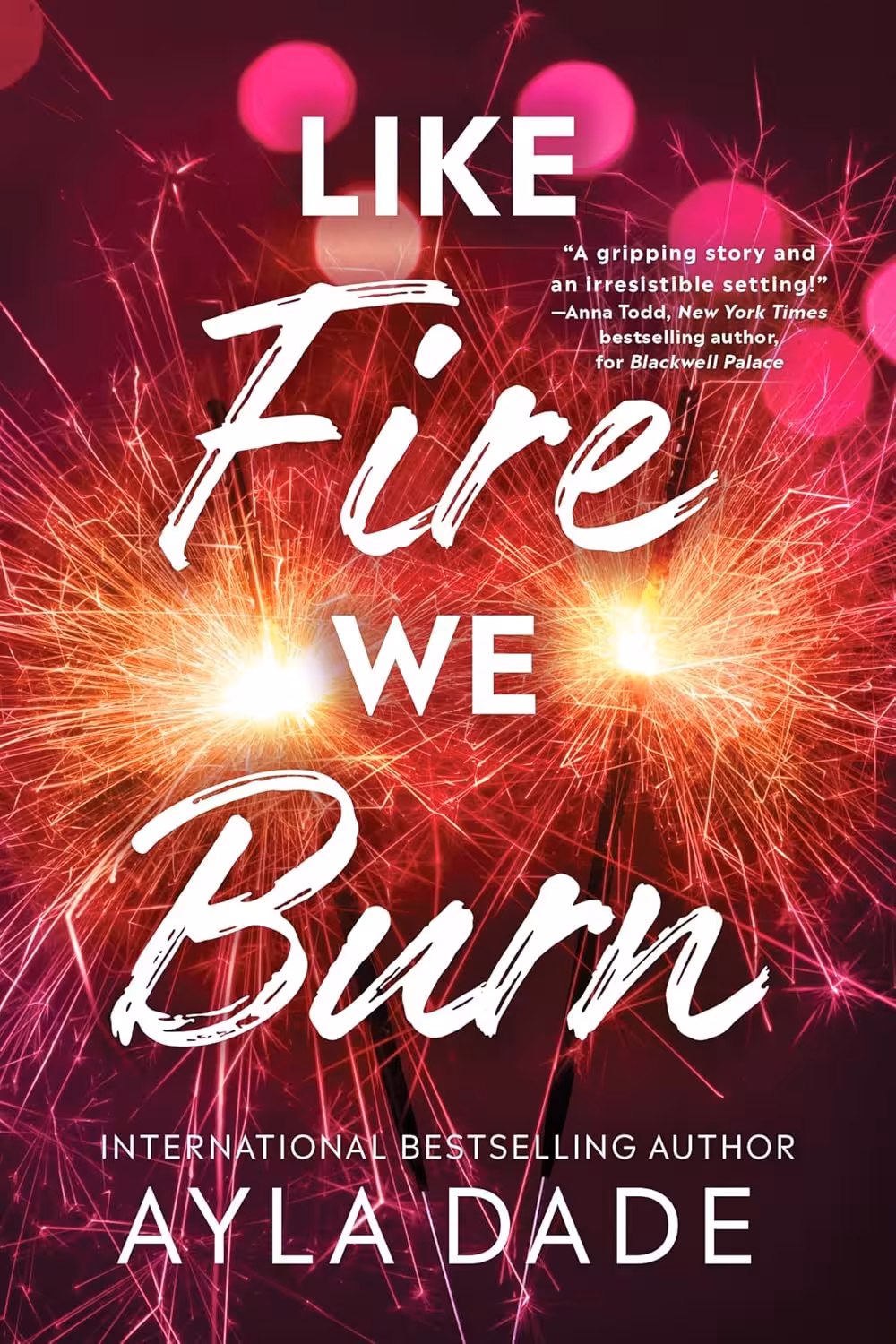 Like Fire We Burn (Winter Dreams Book 2)