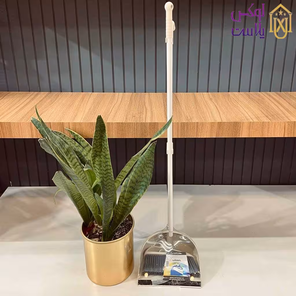 ست جارو خاک انداز دسته بلند 1778 لیمون