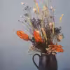 كتاب CRAFTS FROM YOUR MICROWAVE اثر Alison Jenkins انتشارات NEW BURLINGTON