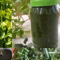 دلال سبزی ماست  1 کیلویی