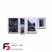 تابلو دکوراتیو 5تکه 505