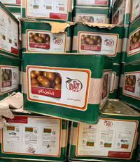 زیتون پرورده ممتاز 9کیلو تالو