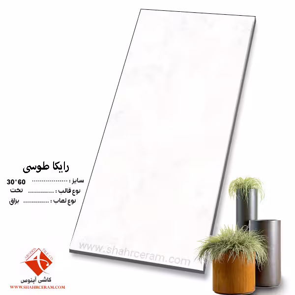 سرامیک رایکا طوسی 60*30 کاشی آبنوس