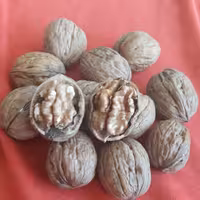 گردو پوست کاغذی   600 گرمی