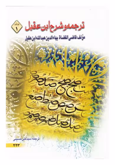 ترجمه و شرح ابن عقیل - سید علی حسینی ج 1