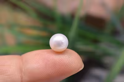 مروارید استرالیا