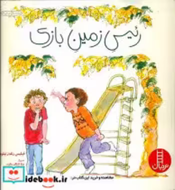 کتاب رئیس زمین بازی نشر فنی ایران