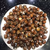 فندق ایرانی با پوست 100 گرم