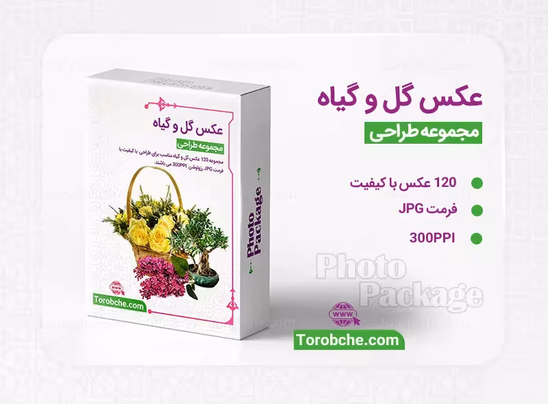 مجموعه 120 عکس گل و گیاه با کیفیت بالا | سری 2 | گرافیک با طعم تربچه