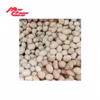 بادام زمینی روکش دار 250 گرمی