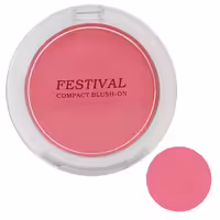 رژ گونه فستیوال شماره 807