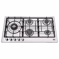 اجاق گاز صفحه‌ای ایتالیایی G 220 _ مستر پلاس / Masterplus