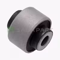 بوش کوچک طبق نیسان جوک، تیانا – سایر