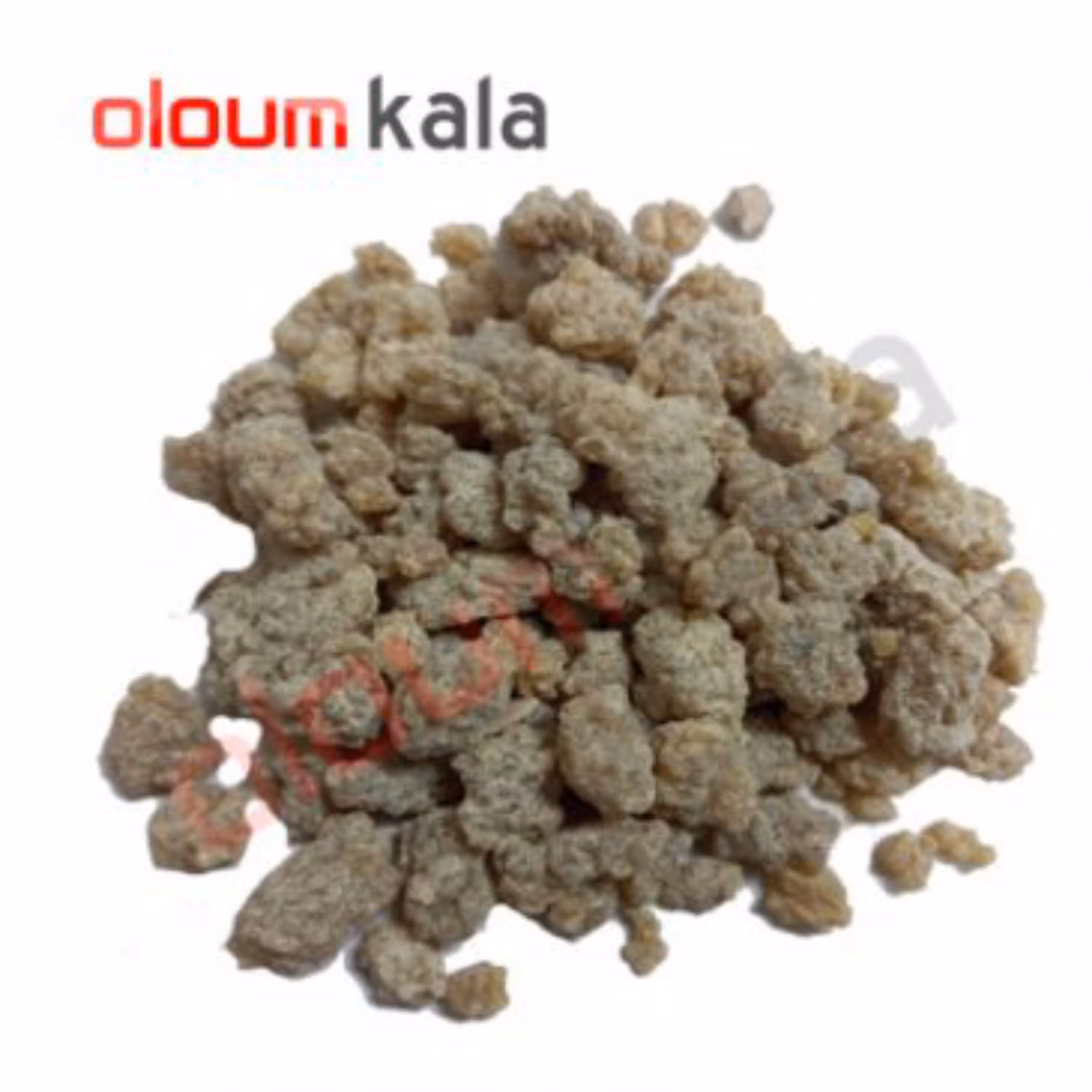 کندر  دودی(100گرمی)