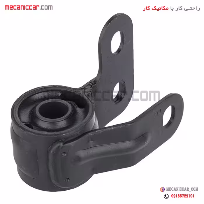 بوش طبق جناقی سمت راست زانتیا