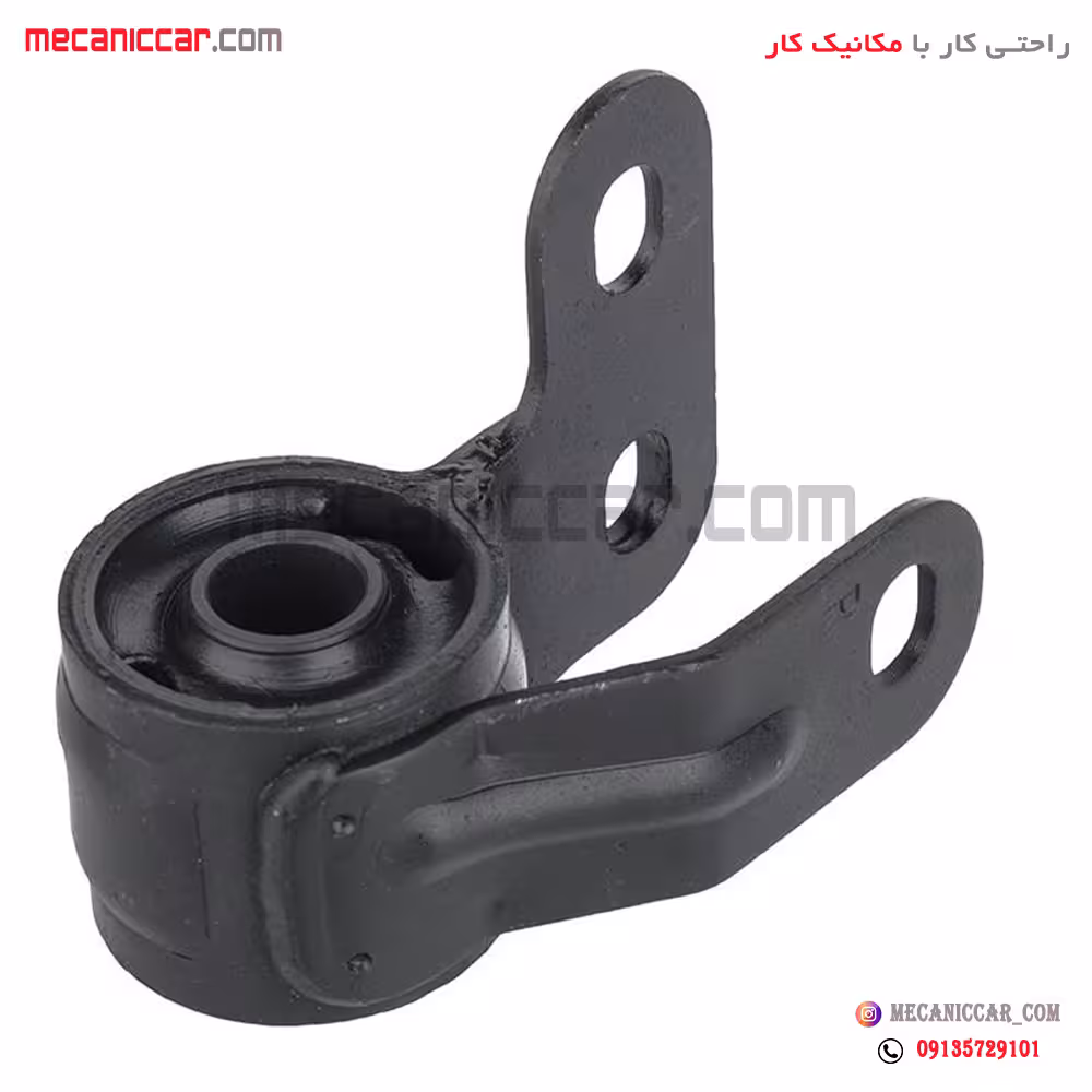 بوش طبق جناقی سمت راست زانتیا