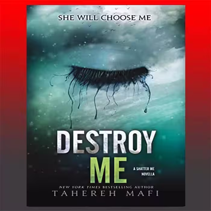 کتاب Destroy Me