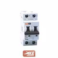 کلید مینیاتوری DC دو پل 2 آمپر 6KA تیپ C رعد مدل RB/MD-2P-2A