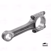 شاتون روا OHVG – عظام